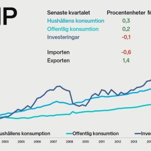 Vad är BNP?