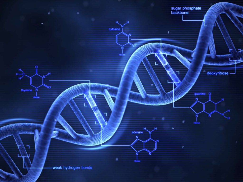 Vad är DNA?