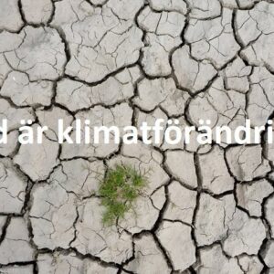 Vad är klimatförändring