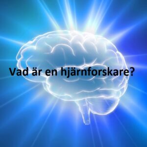 Vad är en hjärnforskare?