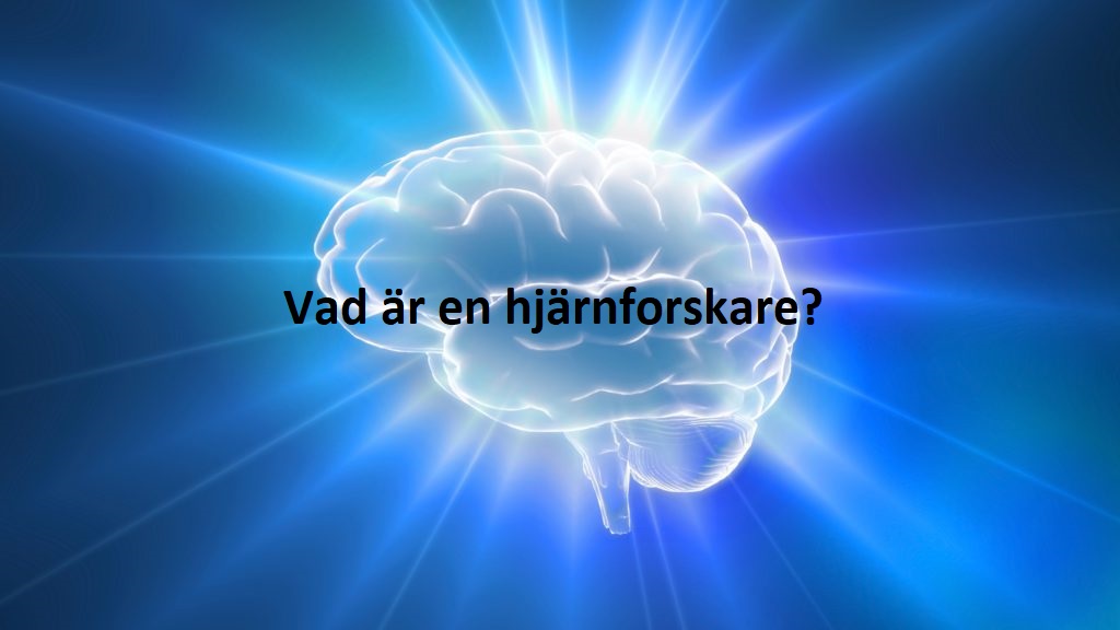 Vad är en hjärnforskare?